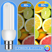 B22 11W CFL Energy Saving Bulb 3-Pack – Cool White 6500K