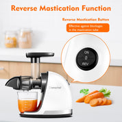 AMZCHEF Juicer Machines - Cold Press Slow Juicer - Masticating Juicer for Whole Fruits and Vegetables - Delicate Chew No Need to Filter - BPA Free Juice Extractor with 2 Cups and Brush - Black
