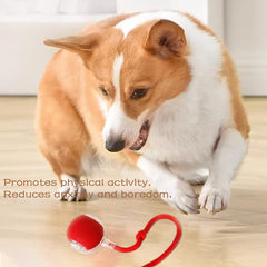 Interactive Rolling Ball for Dogs & Cats – Automatic Smart Pet Toy, Anxiety Relief