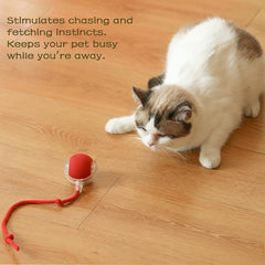 Interactive Rolling Ball for Dogs & Cats – Automatic Smart Pet Toy, Anxiety Relief