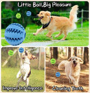 Pets Dog Treat Toys – Rubber Ball with Food Dispensing & Tooth Cleaning, 2 Pack