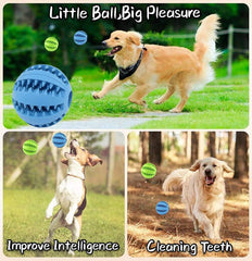 Pets Dog Treat Toys – Rubber Ball with Food Dispensing & Tooth Cleaning, 2 Pack