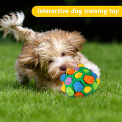 Snuffle Ball for Dogs – Interactive Puzzle Toy, Slow Feeder & Bite-Resistant Fun