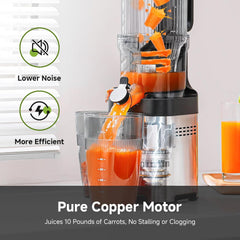 Cold Press Juicer Machine 118mm Chute Stainless Steel Slow Juicer