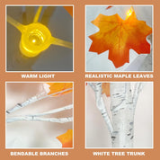 LED Maple Tree Table Lamp with 24 LEDs, USB or Battery Powered Decorative Tree Light for Autumn and Christmas Home Décor