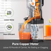 Cold Press Juicer 1.8L 142mm Chute Slow Masticating Machine