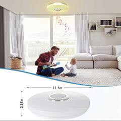 Living room with a man and child playing, featuring a ceiling light fixture.