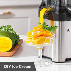 Cold Press Juicer Machine 126mm Large Chute Stainless Steel