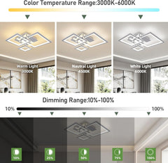Ceiling light fixture with color temperature and dimming range display