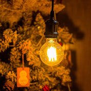 Vintage Edison G80 Globe Bulb E27 40W Warm Light 2 Pack