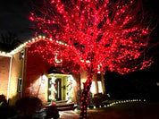 Red LED String Lights 10M with 100 LEDs, Battery Operated Waterproof Copper Wire Fairy Lights for Indoor and Outdoor Decoration