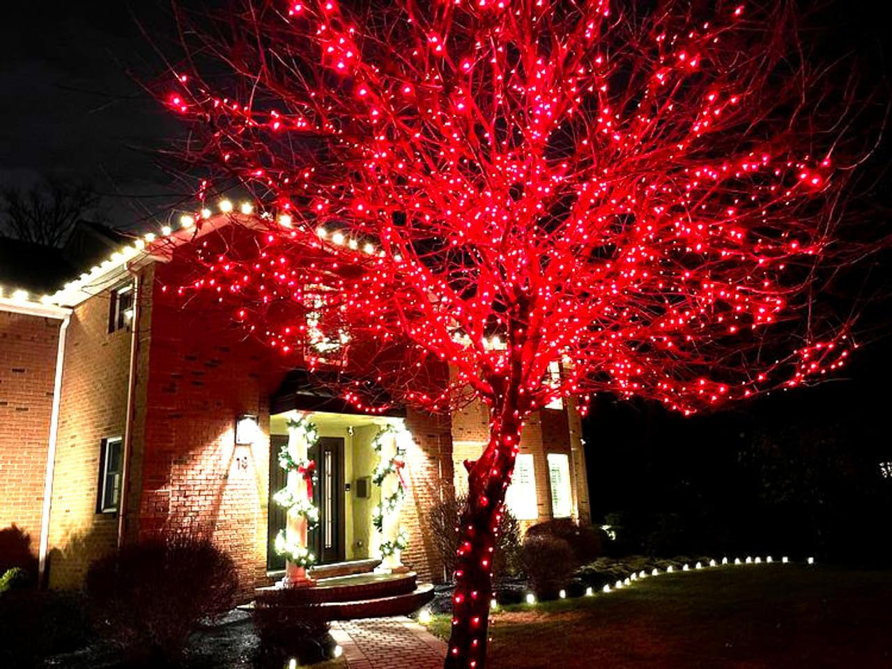 Red LED String Lights 10M with 100 LEDs, Battery Operated Waterproof Copper Wire Fairy Lights for Indoor and Outdoor Decoration