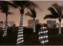 Decorative lights on palm trees with city skyline in the background