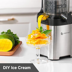 Cold Press Juicer Machine Slow Juicer 145mm Large Chute Stainless Steel