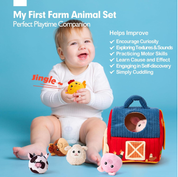 Hahaland Baby Toys 6–12 Months – Farm Animal Sensory Set with Barn, Rattle, Crinkle Paper & Mirror – Montessori Busy Toys for Infants & Toddlers 1–3 Years