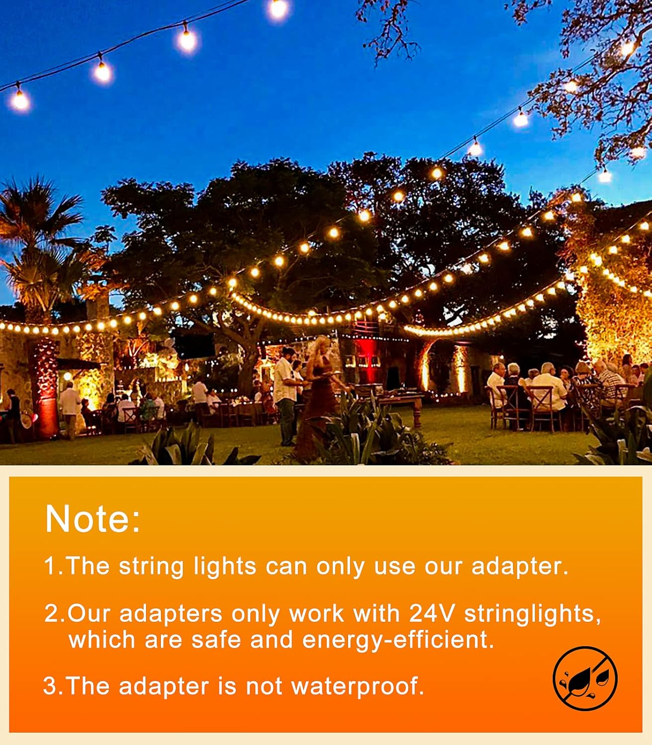 65.5ft Outdoor Festoon Lights with Remote & Timer
