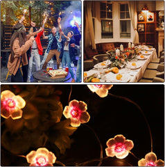 Cherry Blossom Fairy Lights 40 LEDs