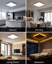 Dimmable LED Ceiling Light 24W with Night Light & Remote
