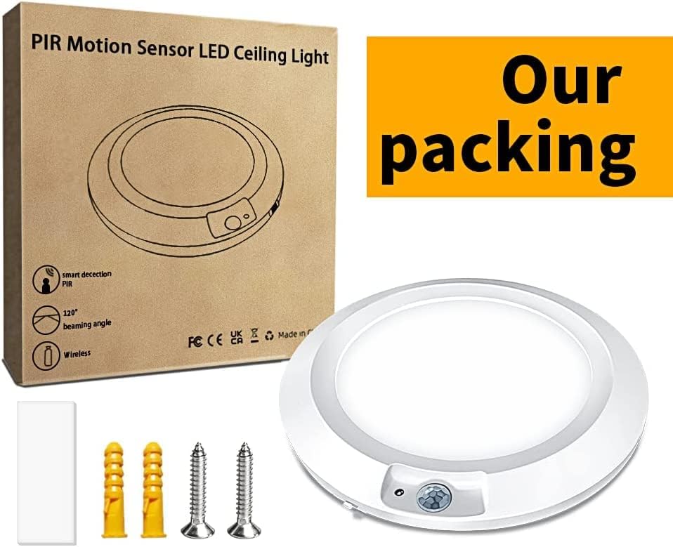 Motion Sensor Ceiling Light for Shed