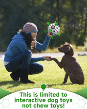 Interactive 6-Inch Dog Football Toy with Webbing, Durable Indoor & Outdoor Ball