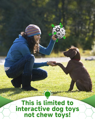 Interactive 6-Inch Dog Football Toy with Webbing, Durable Indoor & Outdoor Ball