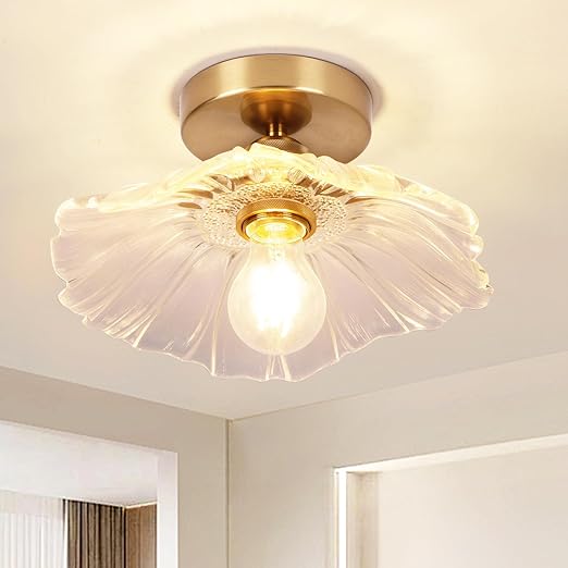 Flush Mount Ceiling Light with Clear Glass Shade, E27
