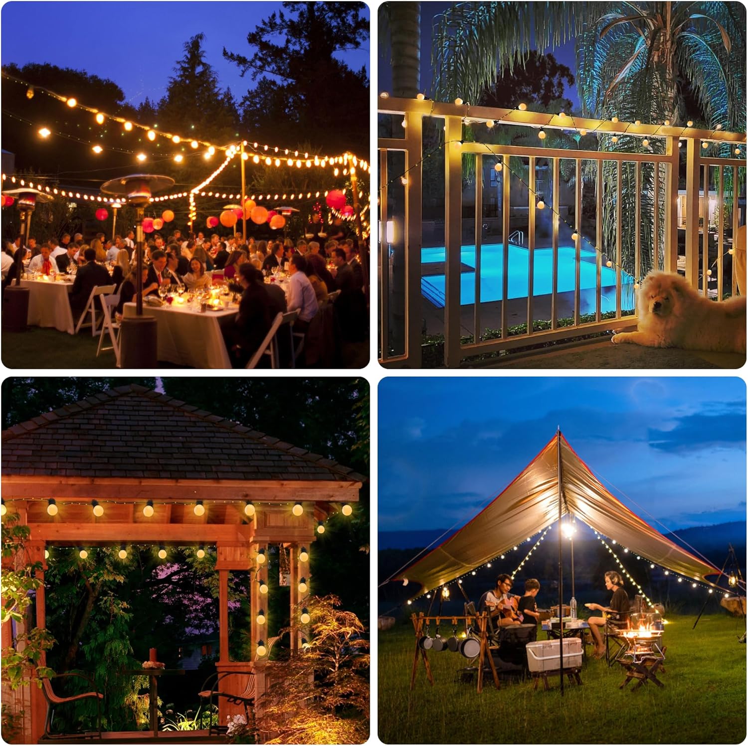 Festoons Bulb fairy String Lights