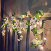 Pink Rose fairy lights