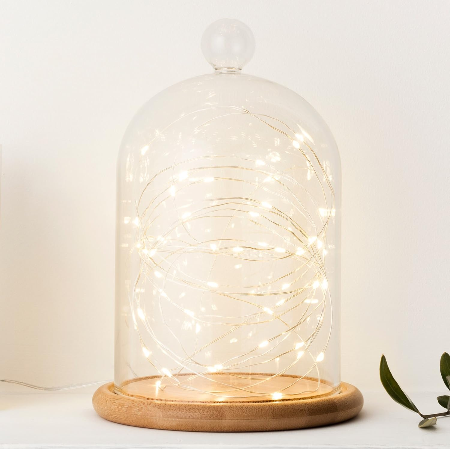 Battery-Operated Indoor Fairy Lights