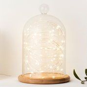 Battery-Operated Indoor Fairy Lights