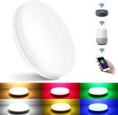 15W Smart LED Ceiling Light Dimmable, RGB Color Changing Ceiling Light, App or Voice Control, IP54 Waterproof