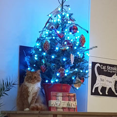 USB Fairy Lights 10M 100LED, Colour Changing, Remote Control