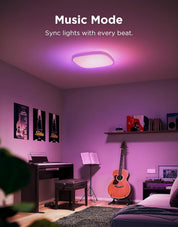 Smart RGBIC 30cm LED Ceiling Light