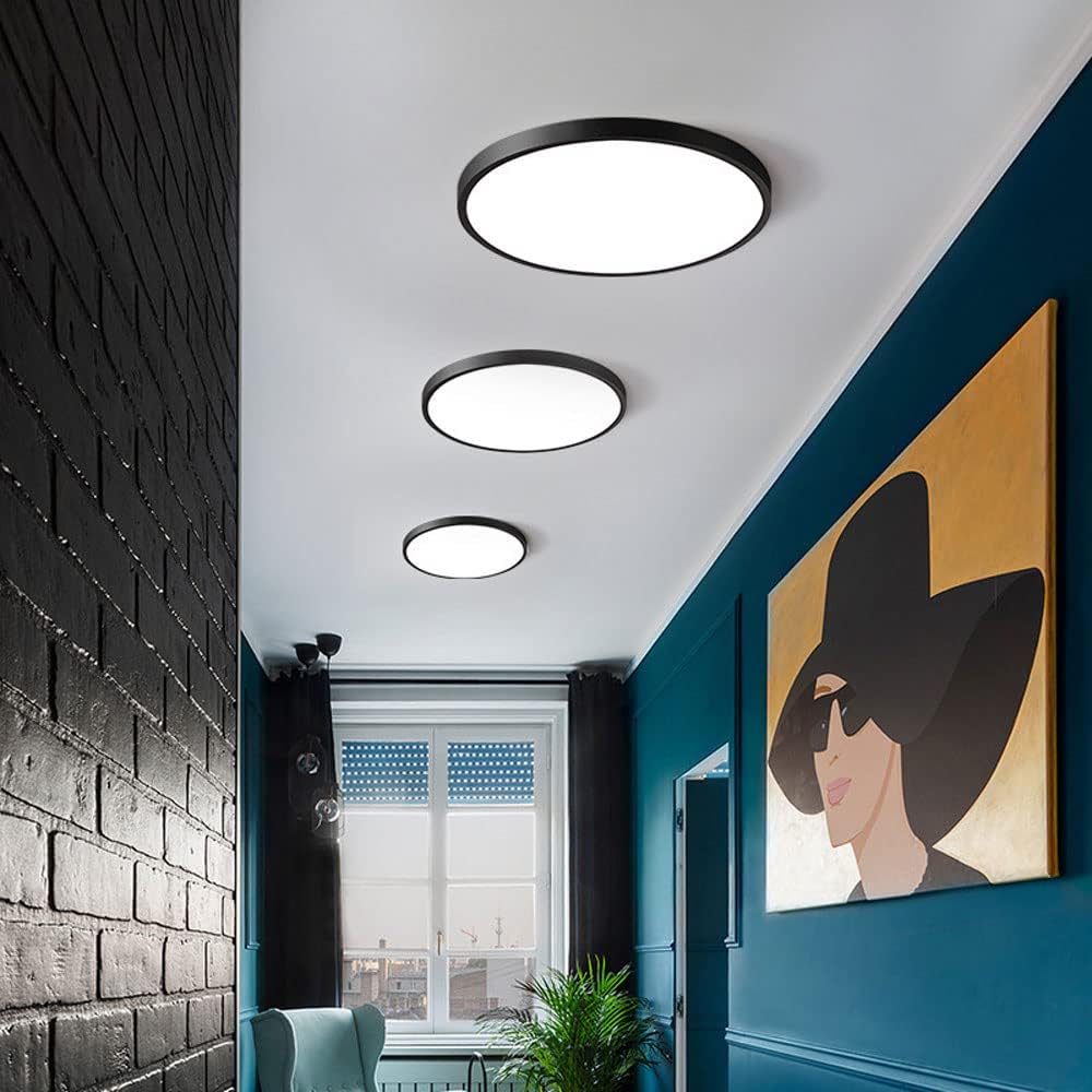 24W Round LED Flush Mount Ceiling Light, Acrylic Lamp Shade, Lighting Fixture for Bedroom Corridor Decoration