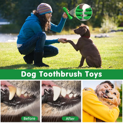 Dog Toothbrush Chew Toy – Natural Rubber Teeth Cleaning & Dental Care for Puppies
