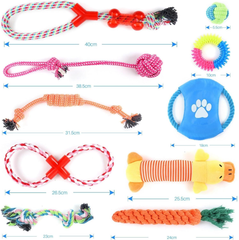 Dog Chew Toys 10-Pack, Rope & Squeaky Teething Toys for Small & Medium Dogs