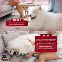 Dog Toys 10 Pack – Indestructible Rope, Ball & Tug Chew Toys for Puppies & Dogs