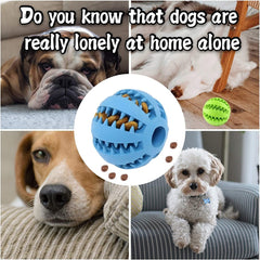 Pets Dog Treat Toys – Rubber Ball with Food Dispensing & Tooth Cleaning, 2 Pack