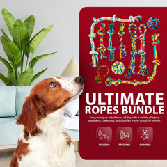 Dog Toys 10 Pack – Indestructible Rope, Ball & Tug Chew Toys for Puppies & Dogs