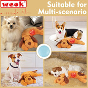 Heartbeat Puppy Toy – Calming Plush Pillow for Dogs & Pets, Anxiety Relief Aid