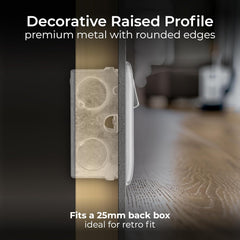 Double Switched 13A Brushed Steel Power Socket
