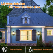 Outdoor Lantern Wall Light