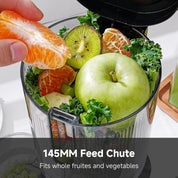 Cold Press Juicer Machine Slow Juicer 145mm Large Chute Stainless Steel