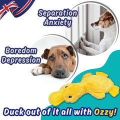 No Stuffing Squeaky Crinkle Duck Toy – Soft Plush Calming Gift for Dogs & Puppies