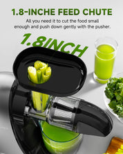 AMZCHEF Juicer Machines - Cold Press Slow Juicer - Masticating Juicer for Whole Fruits and Vegetables - Delicate Chew No Need to Filter - BPA Free Juice Extractor with 2 Cups and Brush - Black