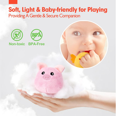 Hahaland Baby Toys 6–12 Months – Farm Animal Sensory Set with Barn, Rattle, Crinkle Paper & Mirror – Montessori Busy Toys for Infants & Toddlers 1–3 Years