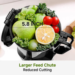 Automatic Cold Press Juicer 250W 145MM Wide Chute 2L Capacity Grey