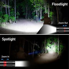 Comparison of floodlight and spotlight effects on a dark forest scene.