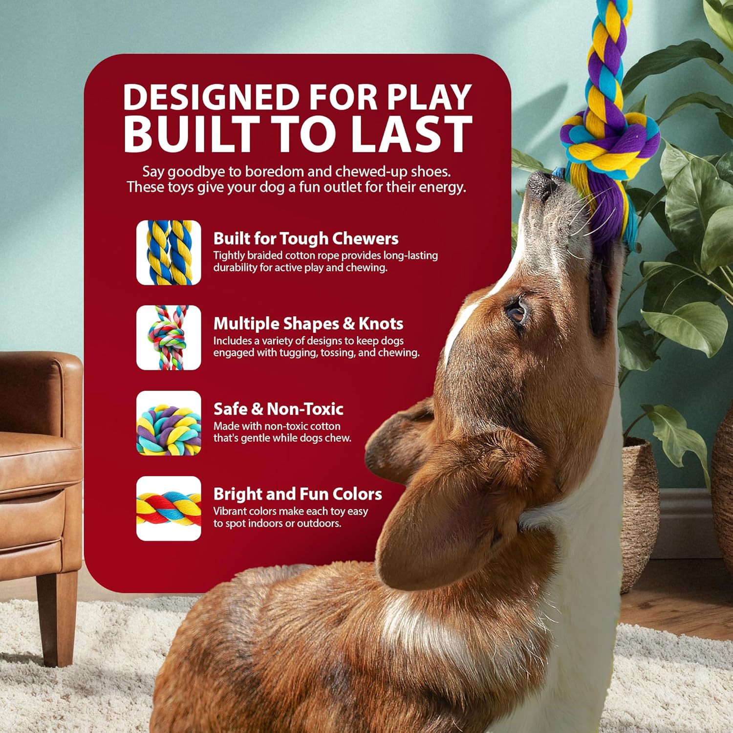 Dog Toys 10 Pack – Indestructible Rope, Ball & Tug Chew Toys for Puppies & Dogs