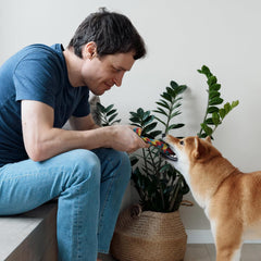 Dog Toys 10 Pack – Indestructible Rope, Ball & Tug Chew Toys for Puppies & Dogs